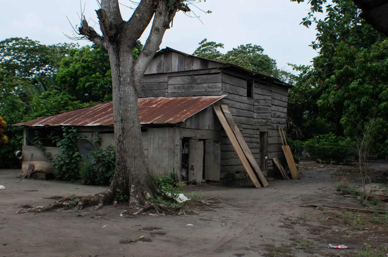  Comunidad Pico de Oro. Foto Nelton Rivera 